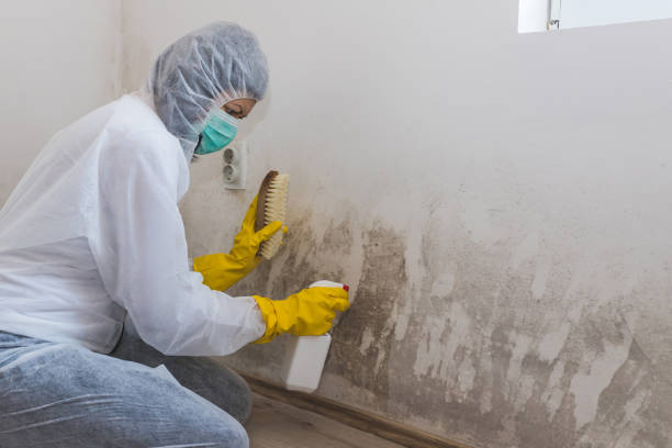 Best Crawl Space Mold Removal  in Pantego, TX