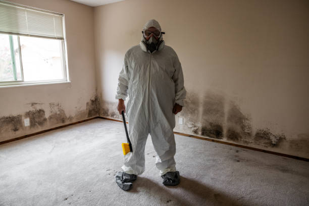 Best Fast Mold Removal  in Pantego, TX